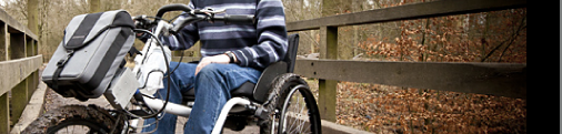 vipertrike